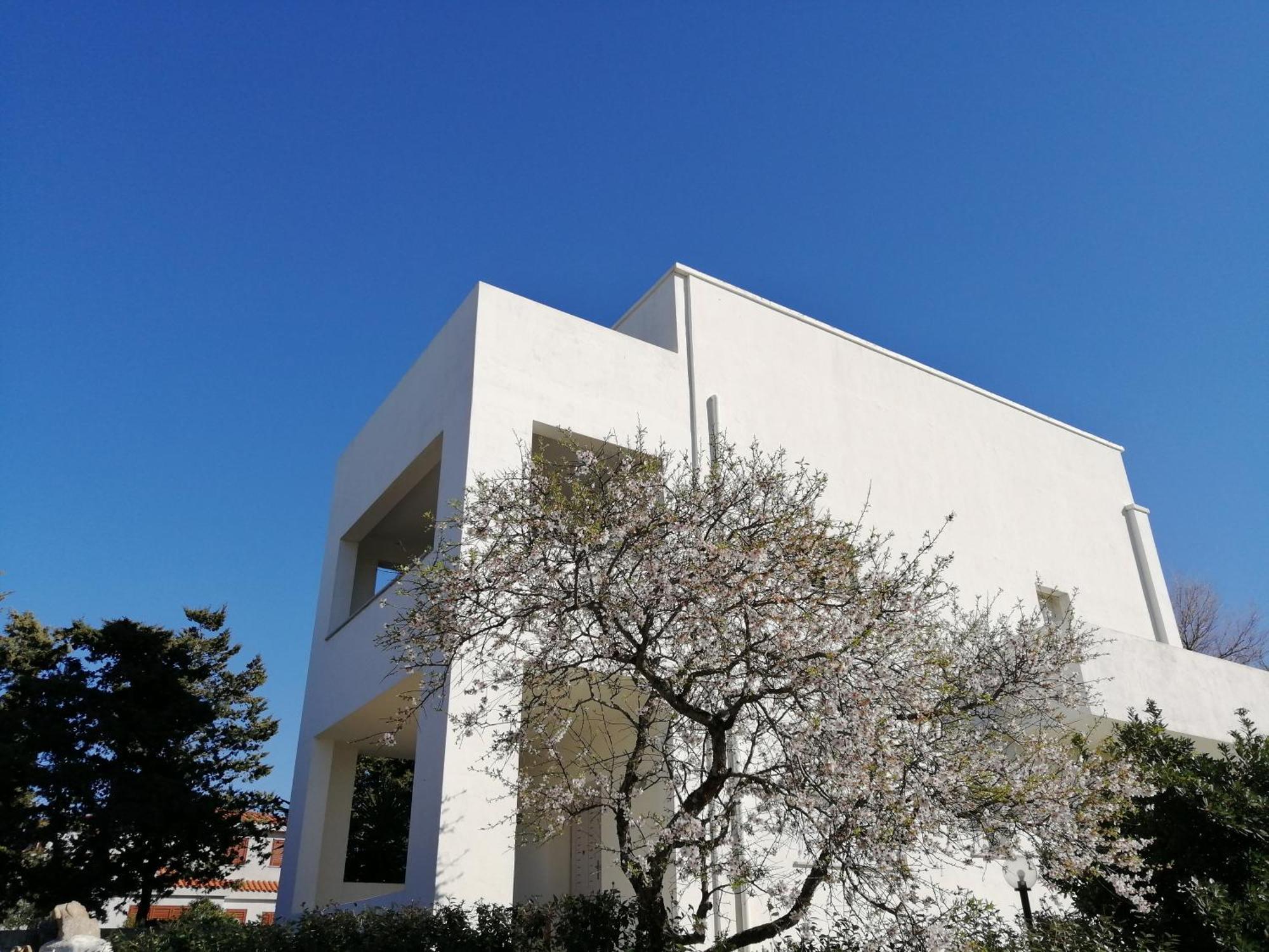 Oltre Le Dune Murta Maria Bagian luar foto