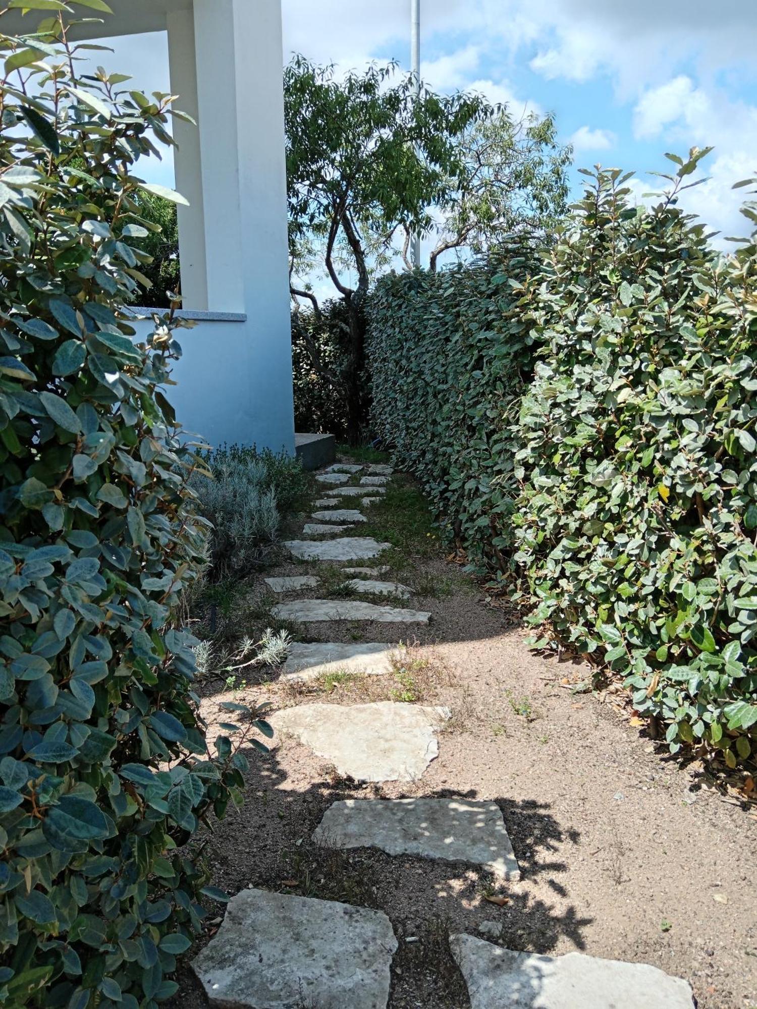 Oltre Le Dune Murta Maria Bagian luar foto
